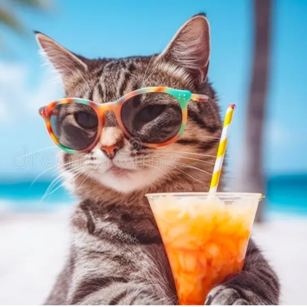 Meet your Posher, Aries